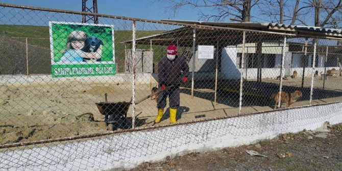 Sokak Hayvanları İçin Zemin Kumu Yenileme Çalışmaları