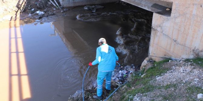 Harran’da Haşere İle Mücadele Çalışmaları Hız Kazandı