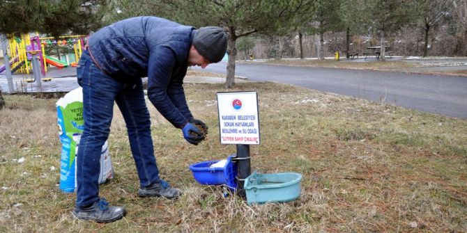 Karabük Belediyesinden Sokak Hayvanlarına Kuru Mama
