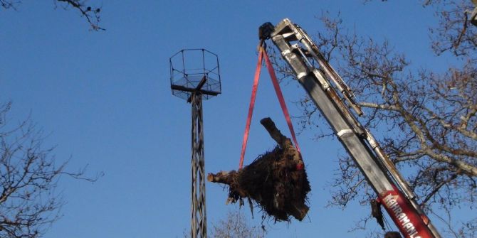Leylek Yuvası İçin Seferber Oldular