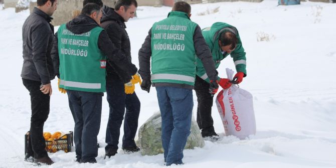 Yaban Hayvanları İçin Doğaya Yem Bırakıldı