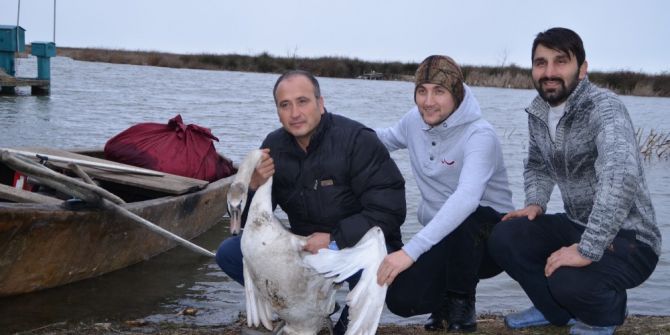 Hasta Kuğu Kooperatife Sığındı