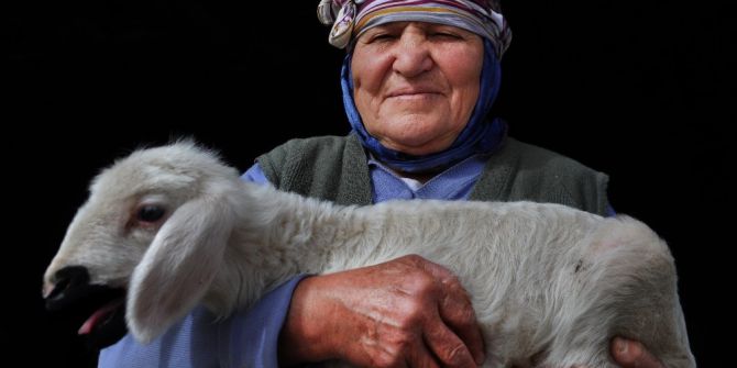 Yörük Kültürü Çalıştayına Doğru