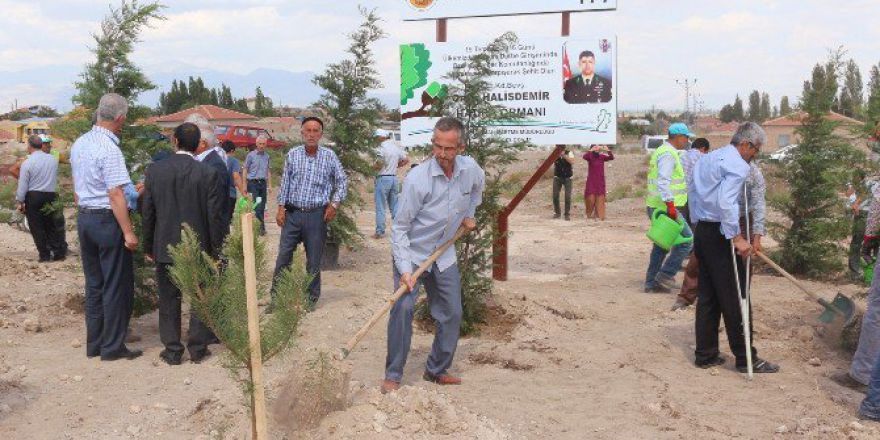 Niğde’de Şehit Astsubay Ömer Halisdemir Adına Hatıra Ormanı Oluşturuldu