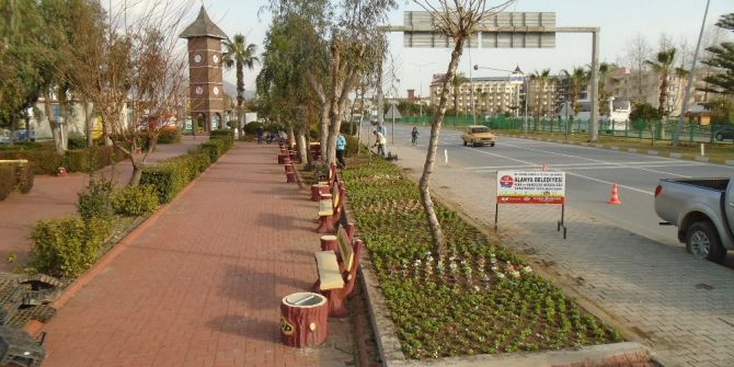Alanya Belediyesi Peyzaj Düzenlemelerine Devam Ediyor