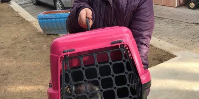 2016 Yılında Bin 257 Can Yuvaya Kavuştu