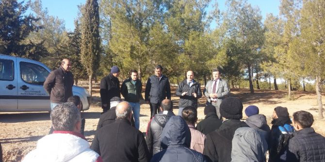 Adıyaman’da Hükümlüler Fidan Dikti