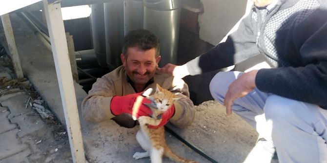 Havalandırma Boşluğuna Düşen Kediyi Hastanenin Sivil Savunma Ekipleri Kurtardı