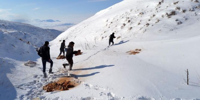 Ülkücüler Doğaya Yem Bıraktı