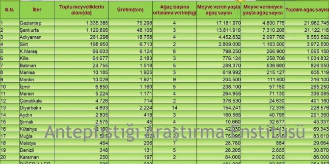 Antep Fıstığını En Çok Yetiştiren İl Gaziantep, En Verimli Yer Diyarbakır
