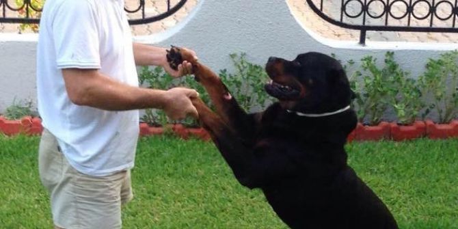 Otomobil Takla Attı, Sürücüsü Hayatını Kaybetti