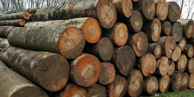 3 Bin 235 Metreküp Orman Emvali Satıldı