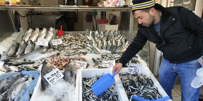 Hamsi 20 Lirayı Gördü