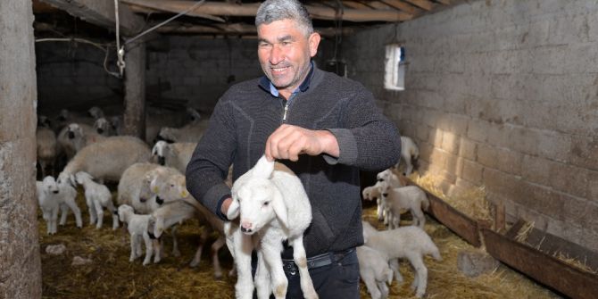 3 Kulaklı Kuzu Görenleri Şaşırtıyor