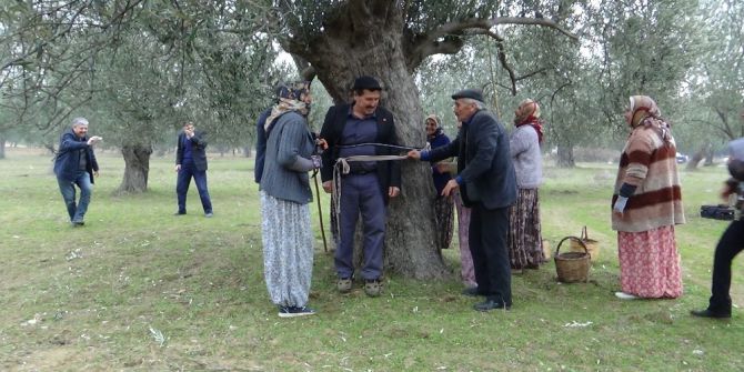 İşçiler Kahya Ve Karısını Ağaca Bağladı