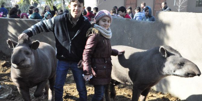 Temel İsimli Tapir 7. Yaşını Çocuklarla Birlikte Kutladı