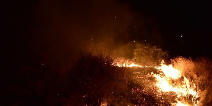Tatil Sitelerinin Önünde Çıkan Yangın Korkuttu