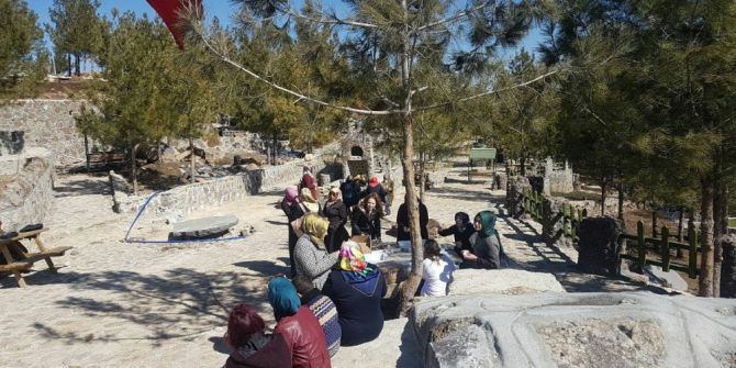 Üniversite Öğrencileri Mesire Alanını Gezdi