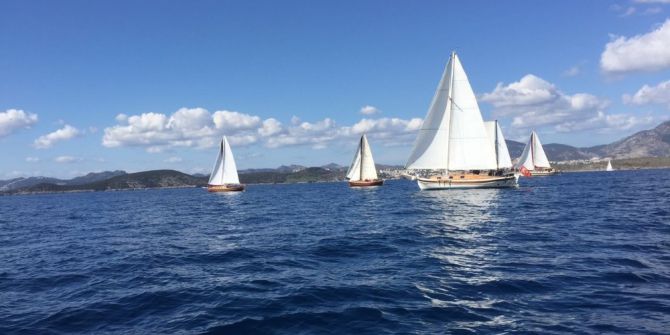 Bodrum Da Tirhandil Yelken Yarışları