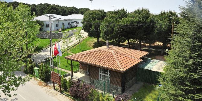 Hayvan Bakım Evi Ve Tedavi Merkezi’nin Kapasitesi Yüzde 75 Arttırıldı