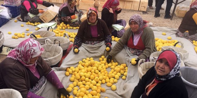 Mersin’de Limon Hasadı Sürüyor