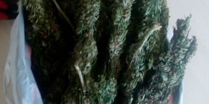 Güvercin Kümesine Uyuşturucu Operasyonu