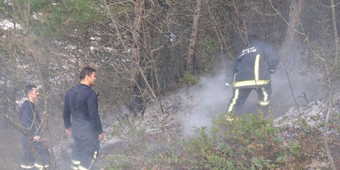 Bursa’da Orman Yangını