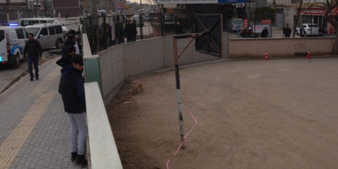 (Özel Haber ) Bursa’da 5 Çocuk Pitbull Korkusu Yüzünden Okulun Balkonuna Tırmandı