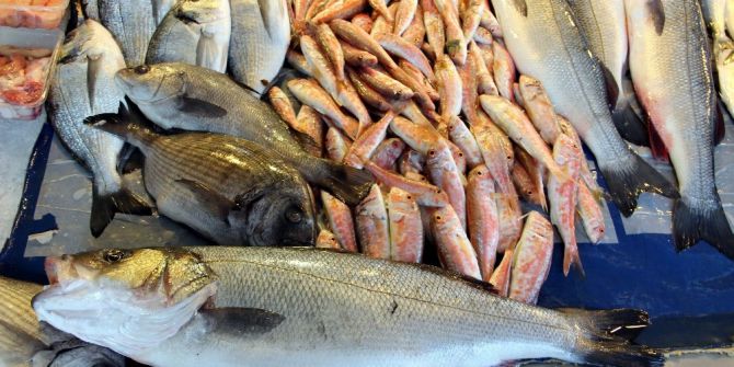 Omega3 En Çok Türk Balıklarında