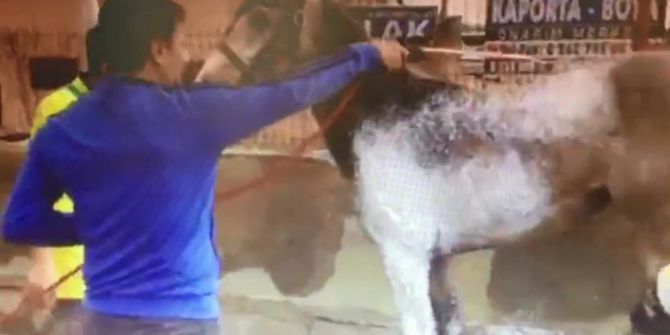 Araçlarını Yıkamaya Gelen Sürücüler At Görünce Şaşırdı