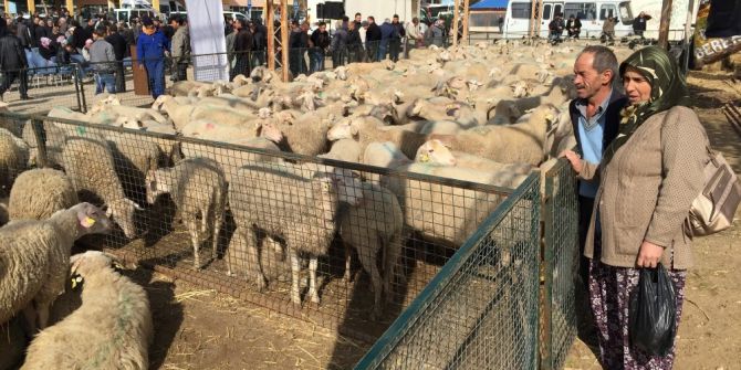 Umut Sürüsü Büyüyor