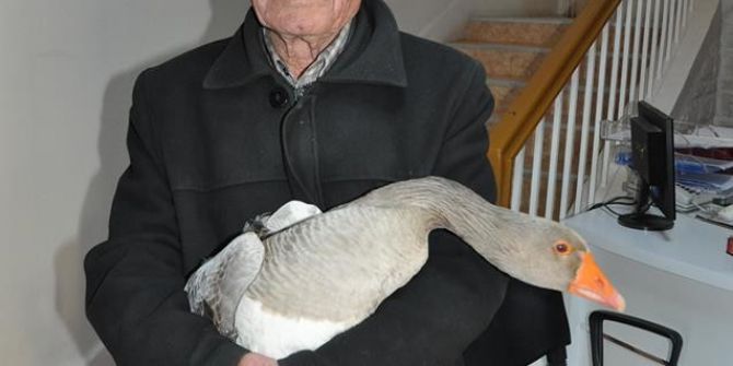 Sokakta Bulduğu Kazın Sahibini Arıyor