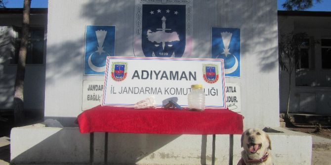 Jandarma Ekipleri Uyuşturucu Tacirlerine Göz Açtırmıyor