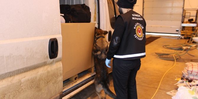 100 Bin Adet Uyuşturucu Hap Ele Geçirildi