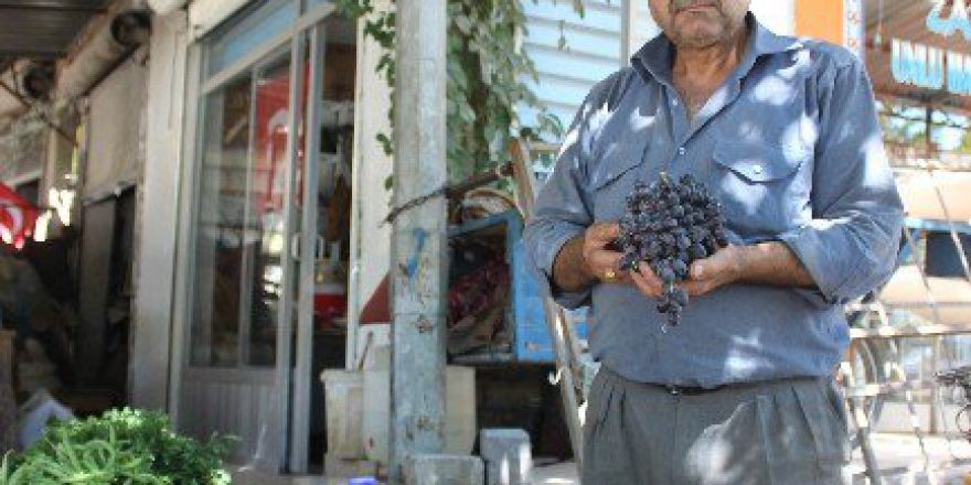 Kilis’te Horozkarası Üzümü Çıktı
