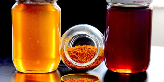 Canan Karatay’ın Bal Hakkındaki Tespitlerine Arıcılardan Tepki