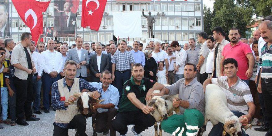 Adıyaman’da 100 Adet Şükür Kurbanı Kesildi