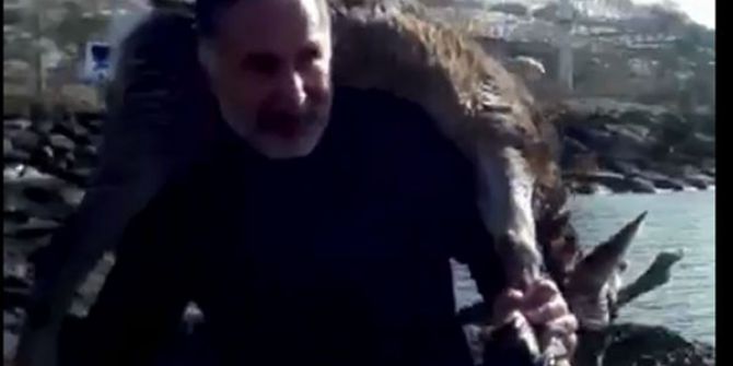 Denize Düşen Yaralı Karacayı Çıkartıp Sırtında Taşıdı