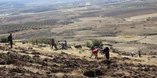 Gelir Getirici Tür Kapsamında 7 Bin Badem Dikildi