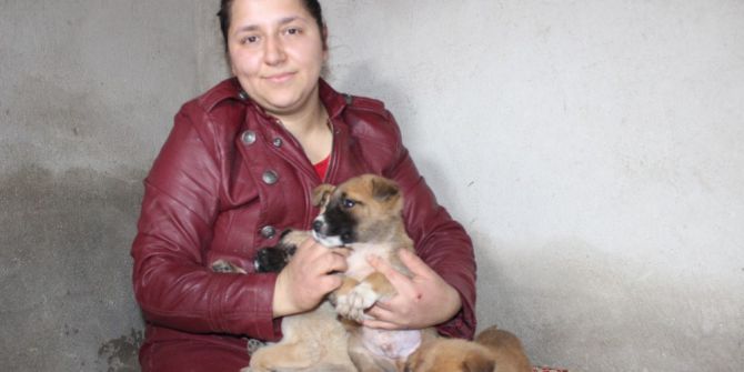 100 Köpek Ve 30 Kediye Bakan Gülşen Kurt, 30 Köpeğin Zehirlendiğini İddia Etti