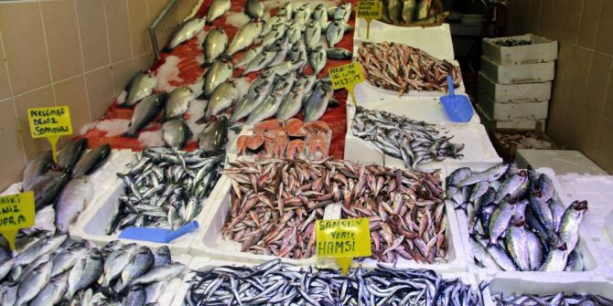 Havalar Isındı, Balık Ucuzladı