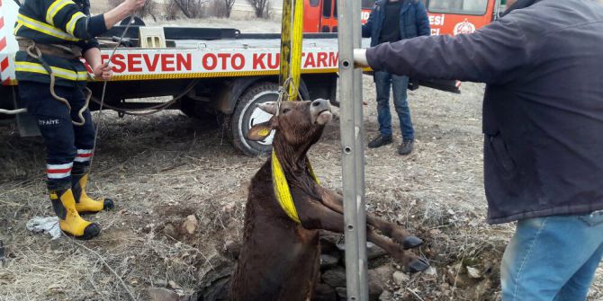 Kuyudan Kurtuldu, Kasaptan Kurtulamadı