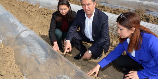 Turfanda Karpuz Üreticisine Soğuk Darbesi