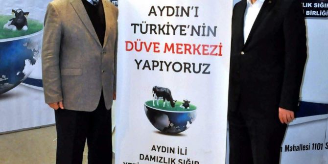 Aydın’a Damızlık Düve Yetiştiriciliği Merkezi Kurulacak