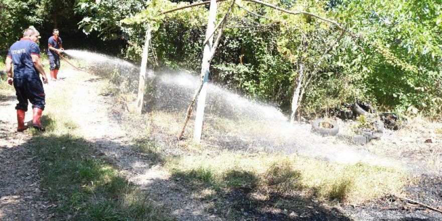 Sinop’ta Ot Yangını Korkuttu