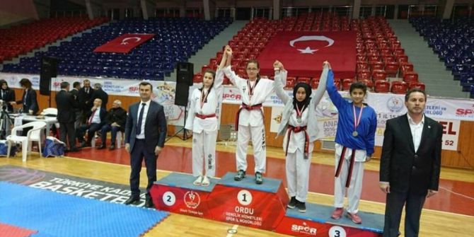 Fatsalı Aleyna’nın Tekvando Başarısı