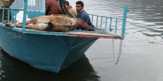 Dağ Keçisi Vuran Avcılara 28 Bin Tl Para Cezası Kesildi