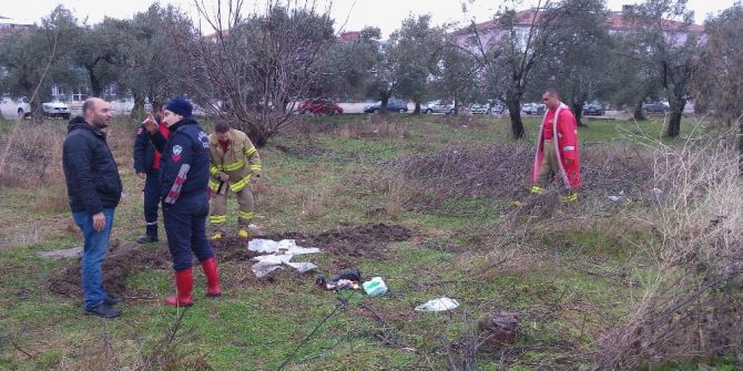 Kuyuya Düşen Köpekler İtfaiye Tarafından Kurtarıldı