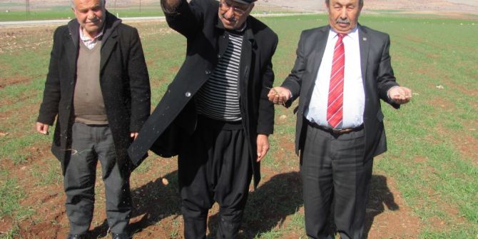 Arabanlı Çiftçilerin Kuraklık Endişesi