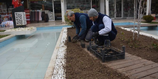 Havuzlu Çarşı Bahara Hazırlanıyor